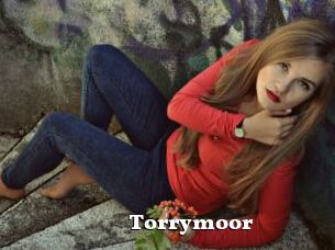 Torrymoor