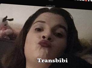 Transbibi