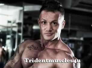 Tridentmuscles4u