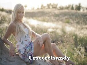 Ursecretsandy