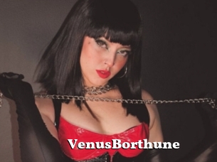 VenusBorthune