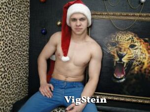 VigStein