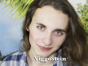 ViggoStein