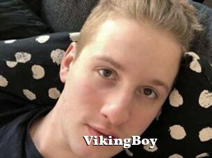 VikingBoy