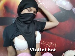 Viollet_hot