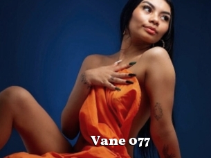 Vane_077