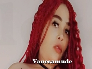 Vanesamude