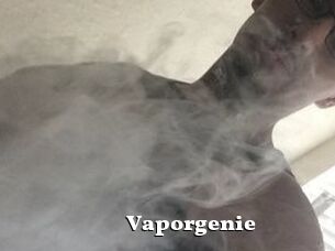 Vapor_genie