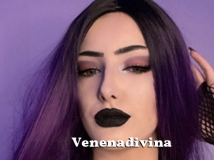 Venenadivina