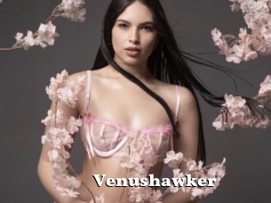 Venushawker