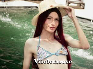 Viioletarose