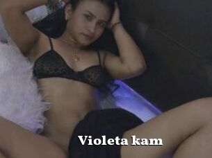 Violeta_kam