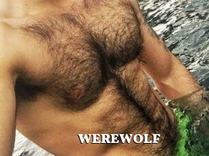 WEREWOLF