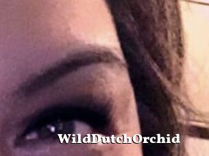 WildDutchOrchid