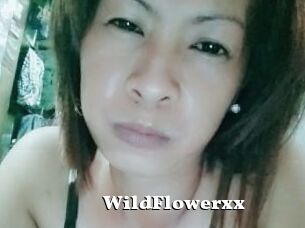 WildFlowerxx