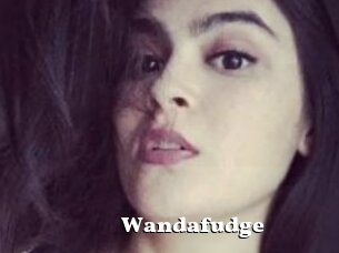 Wandafudge