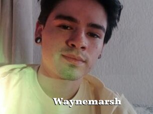 Waynemarsh