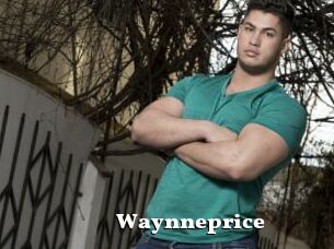 Waynneprice