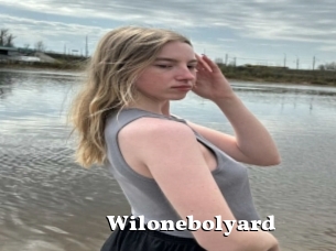 Wilonebolyard