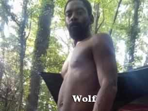 Wolf