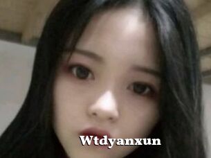 Wtdyanxun