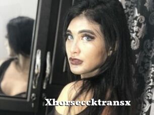 Xhorseccktransx