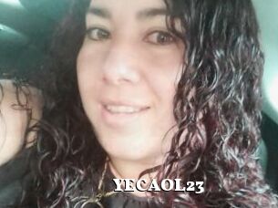 YECAOL23