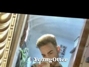 YoungOtter